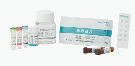 IgM Test Kit for Pathogen Antibody of Respiratory Tract Infection (Indirect Immu