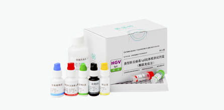 Hepatitis G Virus IgG Antibody Test Kit (ELISA)